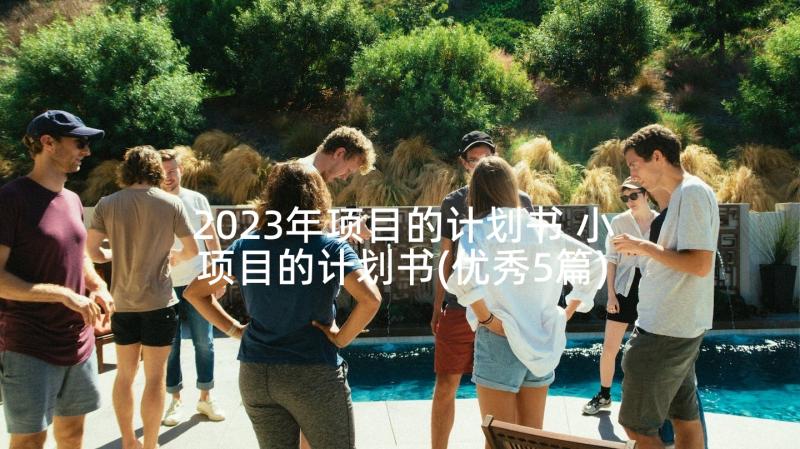 2023年项目的计划书 小项目的计划书(优秀5篇)