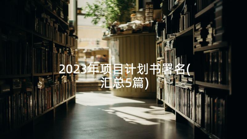 2023年项目计划书署名(汇总5篇)