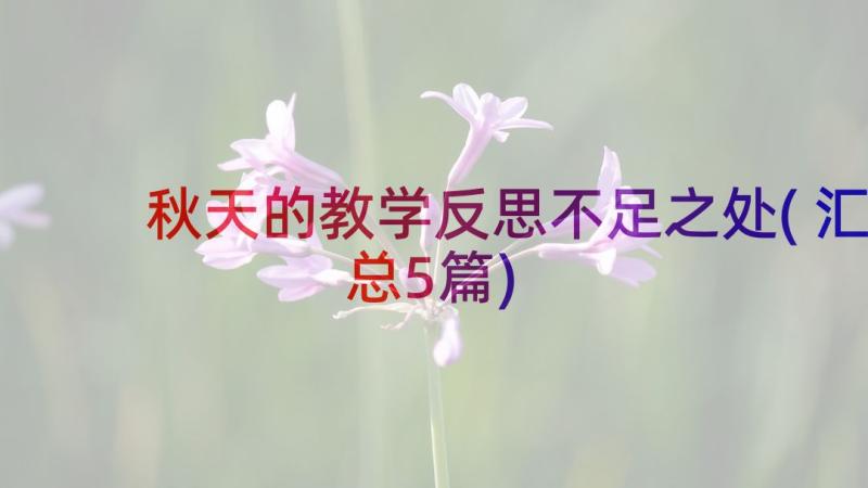 秋天的教学反思不足之处(汇总5篇)