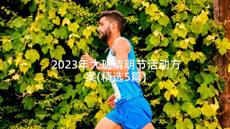 2023年大班清明节活动方案(精选5篇)