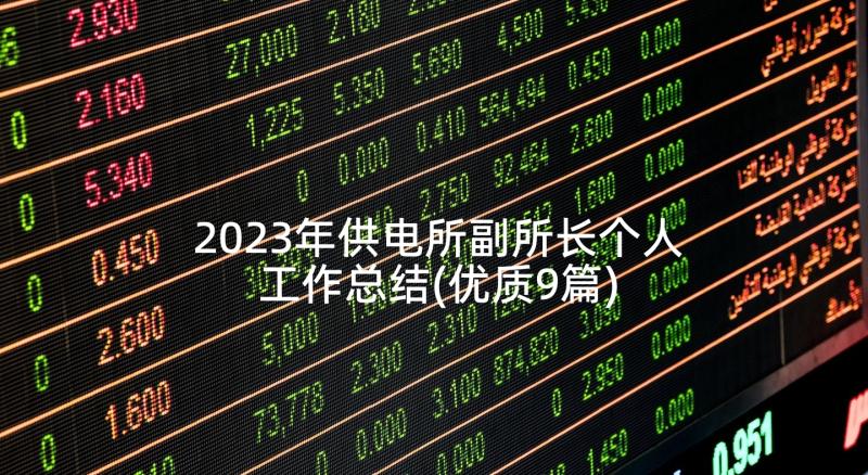 2023年供电所副所长个人工作总结(优质9篇)