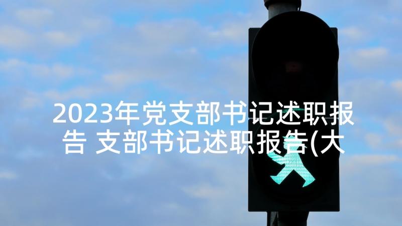 2023年党支部书记述职报告 支部书记述职报告(大全5篇)