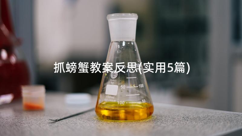 抓螃蟹教案反思(实用5篇)