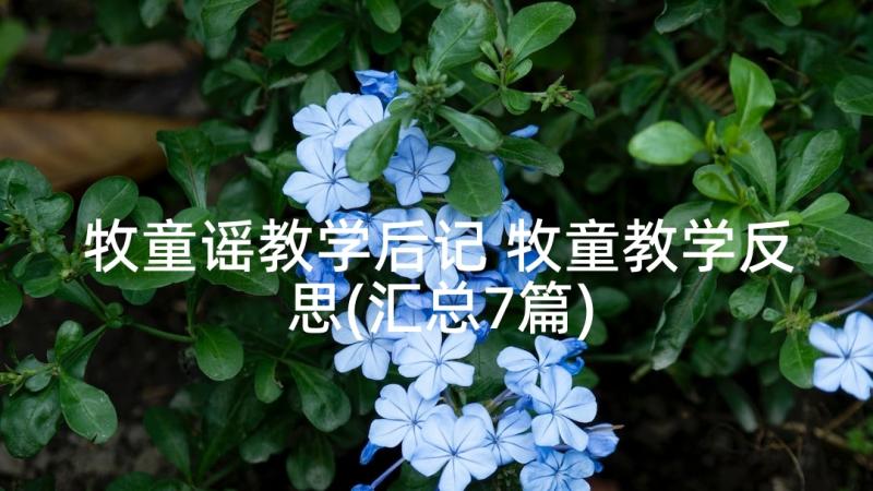 牧童谣教学后记 牧童教学反思(汇总7篇)