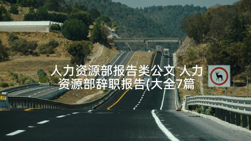 人力资源部报告类公文 人力资源部辞职报告(大全7篇)