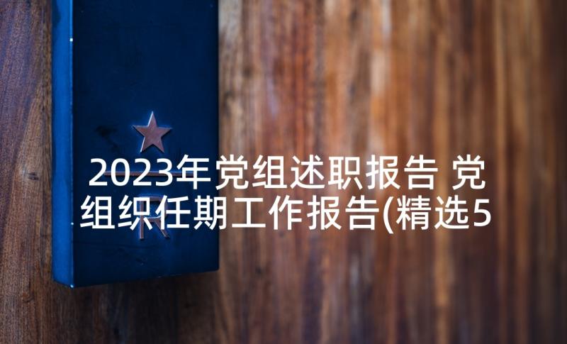 2023年党组述职报告 党组织任期工作报告(精选5篇)