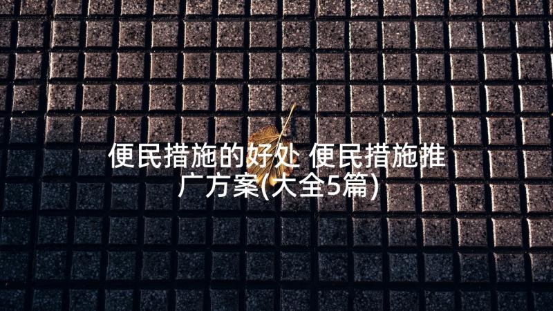 便民措施的好处 便民措施推广方案(大全5篇)