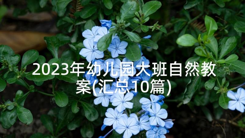 2023年幼儿园大班自然教案(汇总10篇)