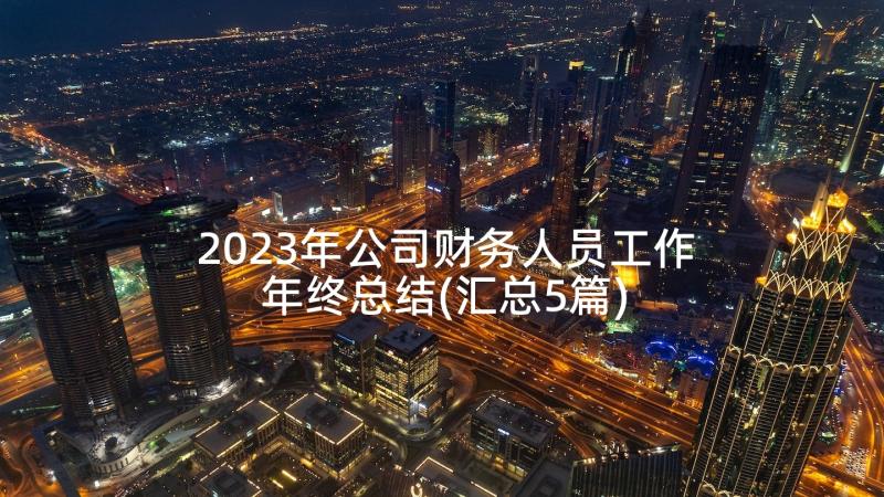 2023年公司财务人员工作年终总结(汇总5篇)