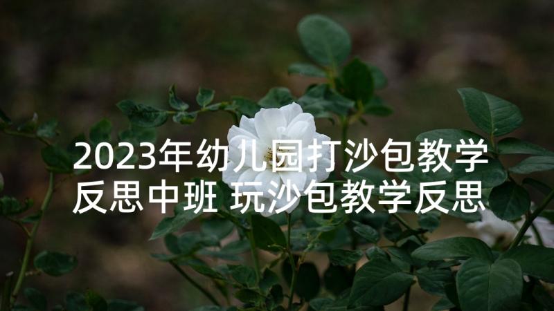 2023年幼儿园打沙包教学反思中班 玩沙包教学反思(汇总10篇)