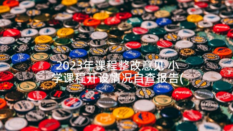 2023年课程整改意见 小学课程开设情况自查报告(大全5篇)