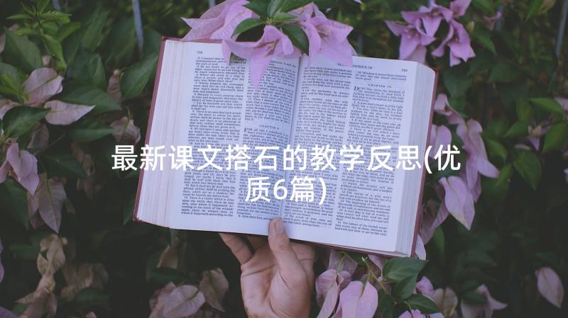 最新课文搭石的教学反思(优质6篇)