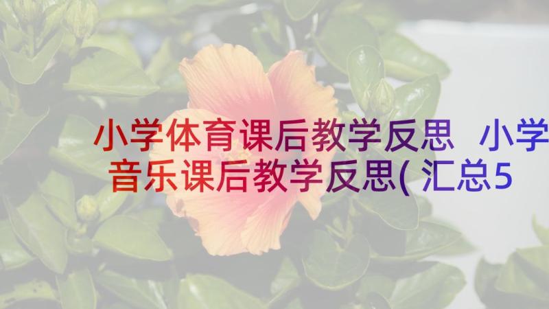 小学体育课后教学反思 小学音乐课后教学反思(汇总5篇)