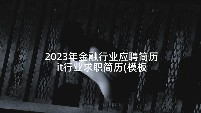 2023年金融行业应聘简历 it行业求职简历(模板5篇)