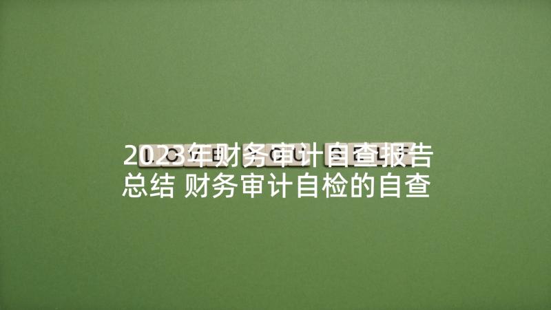 2023年财务审计自查报告总结 财务审计自检的自查报告(优质5篇)