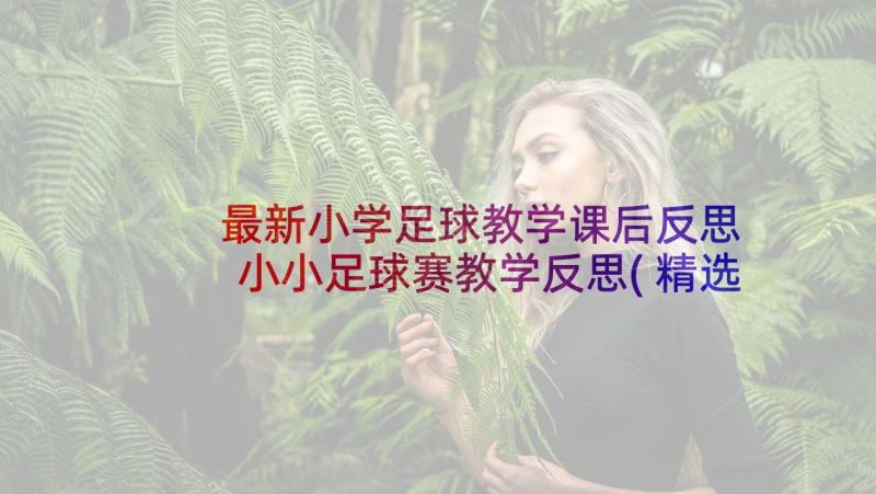 最新小学足球教学课后反思 小小足球赛教学反思(精选5篇)