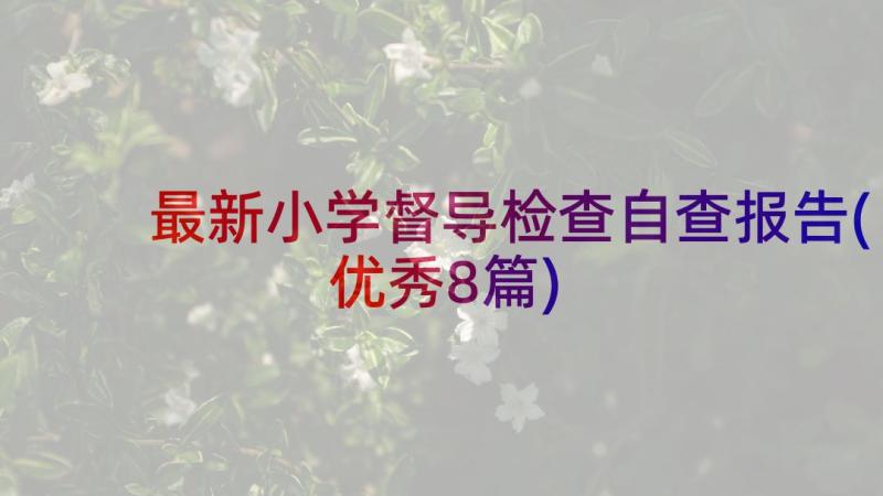 最新小学督导检查自查报告(优秀8篇)