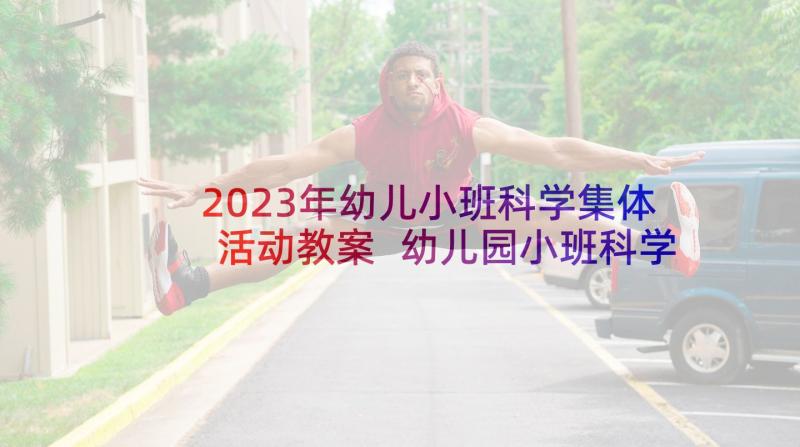 2023年幼儿小班科学集体活动教案 幼儿园小班科学活动教案(优秀6篇)