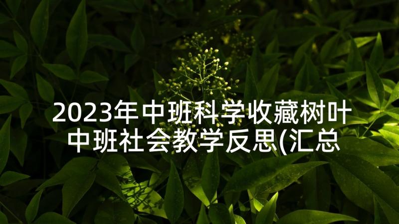 2023年中班科学收藏树叶 中班社会教学反思(汇总6篇)