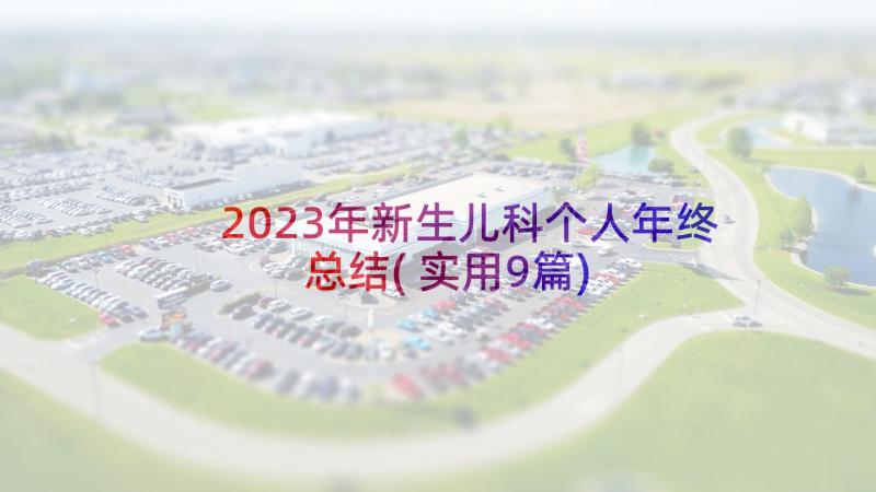 2023年新生儿科个人年终总结(实用9篇)