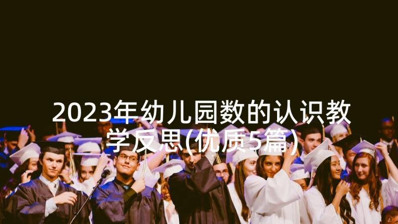 2023年幼儿园数的认识教学反思(优质5篇)