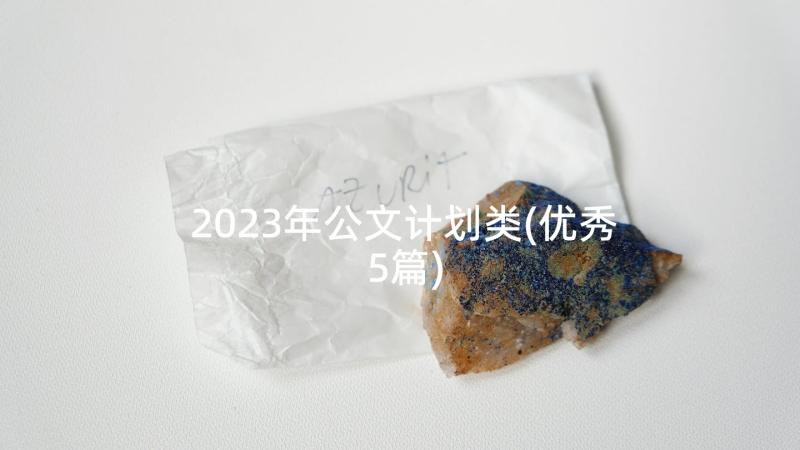 2023年公文计划类(优秀5篇)