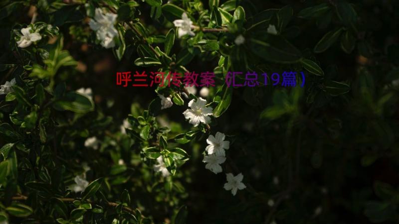 呼兰河传教案（汇总19篇）