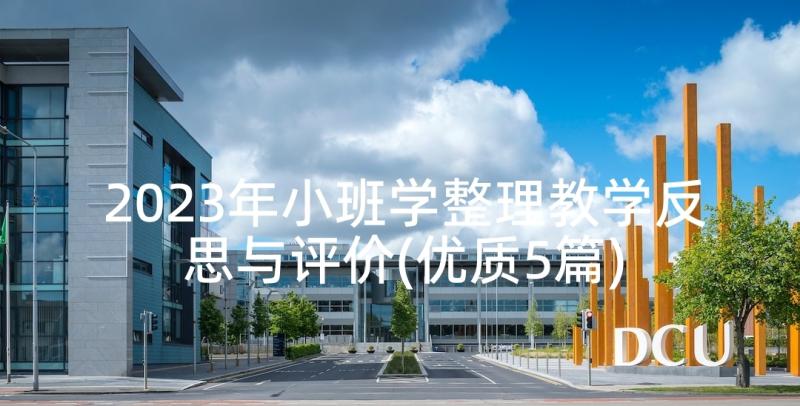 2023年小班学整理教学反思与评价(优质5篇)