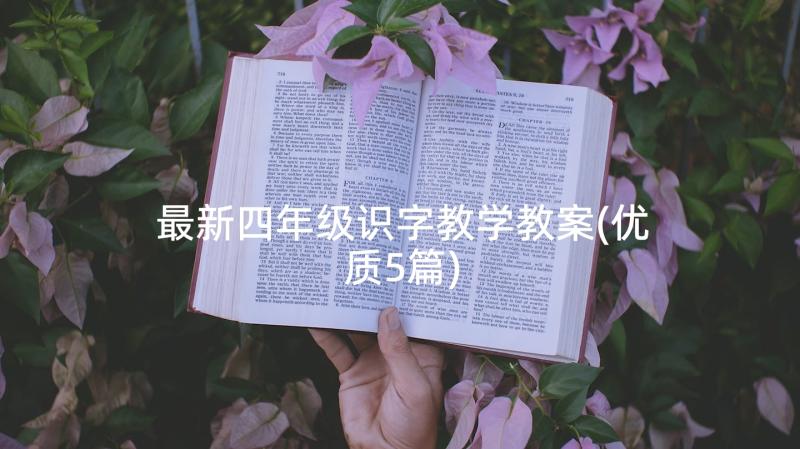 最新四年级识字教学教案(优质5篇)