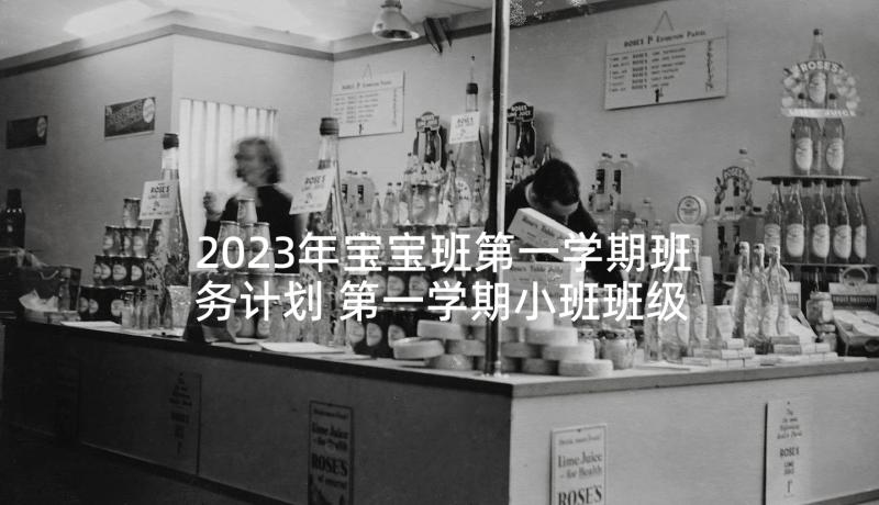 2023年宝宝班第一学期班务计划 第一学期小班班级工作计划(通用5篇)