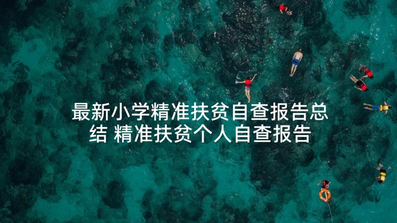 最新小学精准扶贫自查报告总结 精准扶贫个人自查报告(优秀5篇)