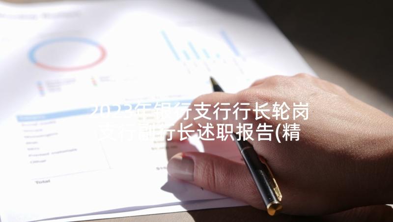 2023年银行支行行长轮岗 支行副行长述职报告(精选6篇)