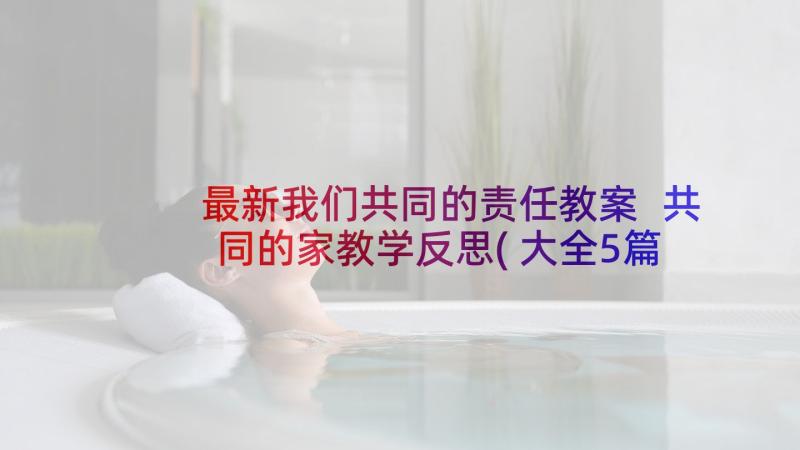 最新我们共同的责任教案 共同的家教学反思(大全5篇)