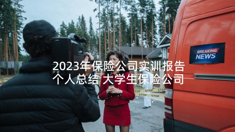 2023年保险公司实训报告个人总结 大学生保险公司实习报告(模板7篇)