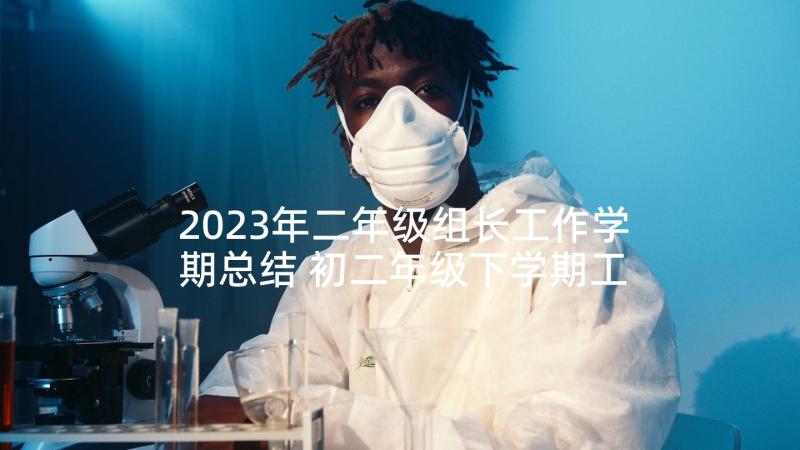 2023年二年级组长工作学期总结 初二年级下学期工作计划(汇总9篇)