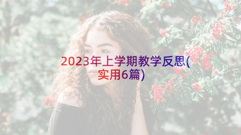 2023年上学期教学反思(实用6篇)