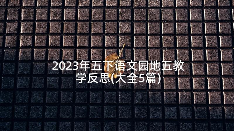 2023年五下语文园地五教学反思(大全5篇)