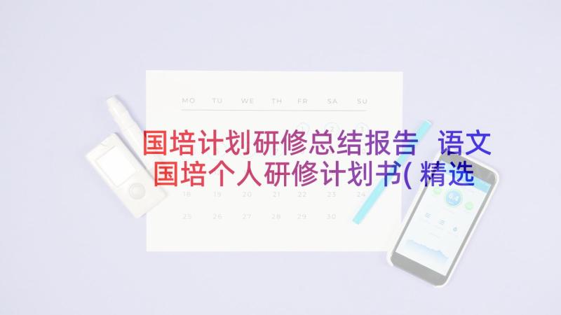 国培计划研修总结报告 语文国培个人研修计划书(精选5篇)