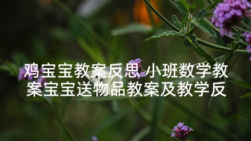 鸡宝宝教案反思 小班数学教案宝宝送物品教案及教学反思(优秀5篇)