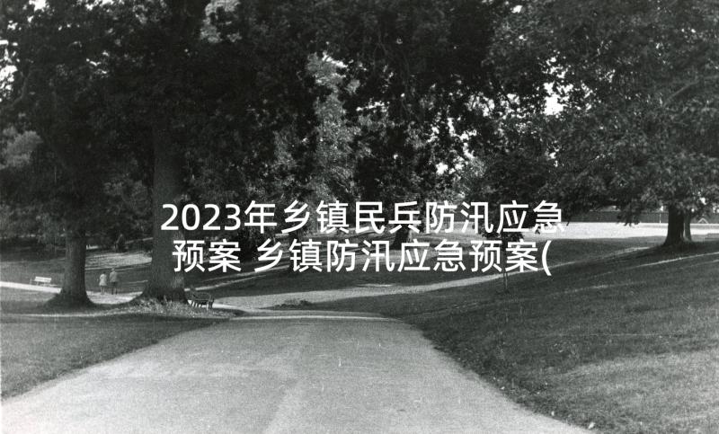 2023年乡镇民兵防汛应急预案 乡镇防汛应急预案(精选5篇)