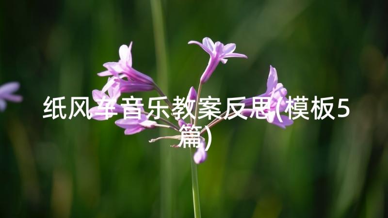 纸风车音乐教案反思(模板5篇)