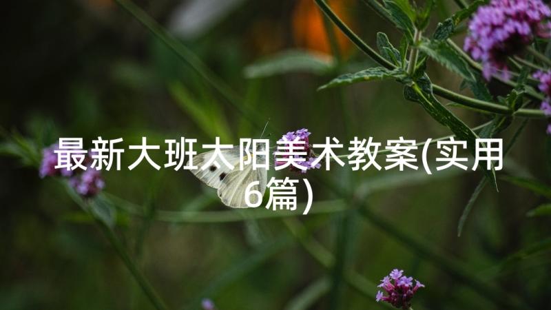 最新大班太阳美术教案(实用6篇)