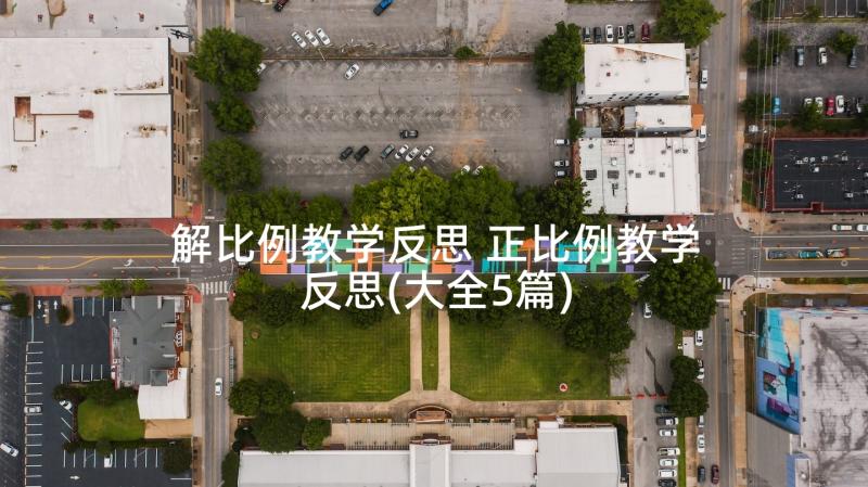 解比例教学反思 正比例教学反思(大全5篇)