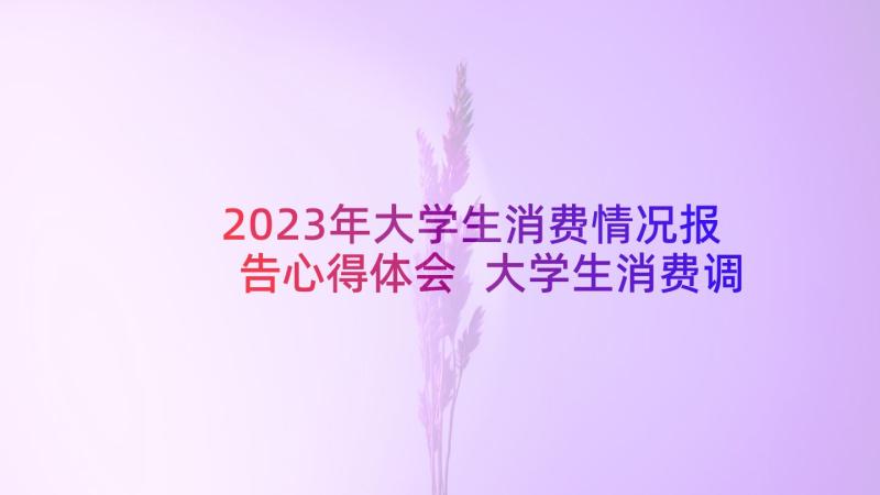 2023年大学生消费情况报告心得体会 大学生消费调研报告(精选6篇)