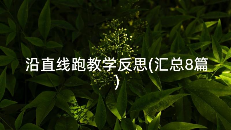 沿直线跑教学反思(汇总8篇)