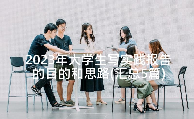 2023年大学生写实践报告的目的和思路(汇总5篇)