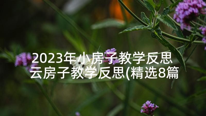 2023年小房子教学反思 云房子教学反思(精选8篇)