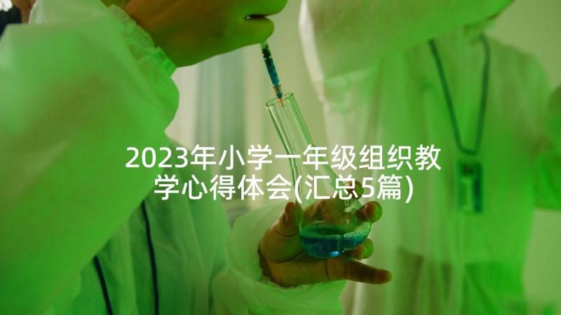 2023年小学一年级组织教学心得体会(汇总5篇)