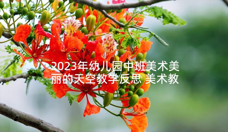 2023年幼儿园中班美术美丽的天空教学反思 美术教学反思(通用5篇)