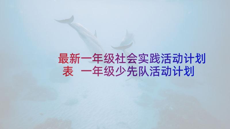 最新一年级社会实践活动计划表 一年级少先队活动计划(汇总5篇)